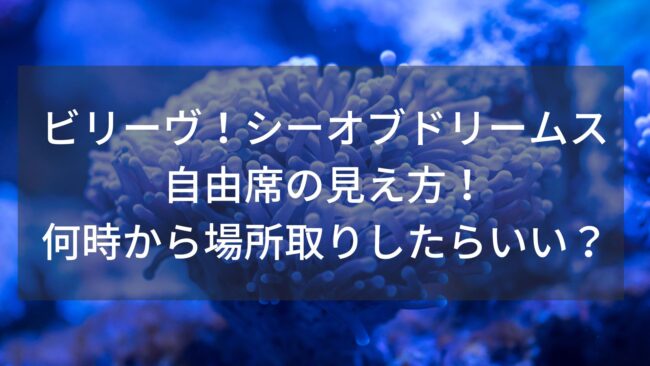 ビリーヴ シーオブドリームス自由席の見え方 何時から場所取りしたらいい M K